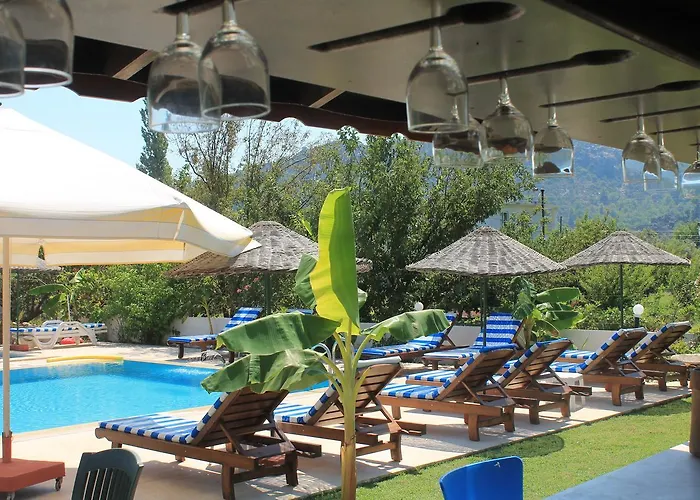 Erol Orhaniye (Marmaris)